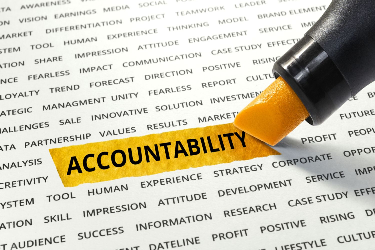 2021 INTRODUCTION | Accountability for Outcomes