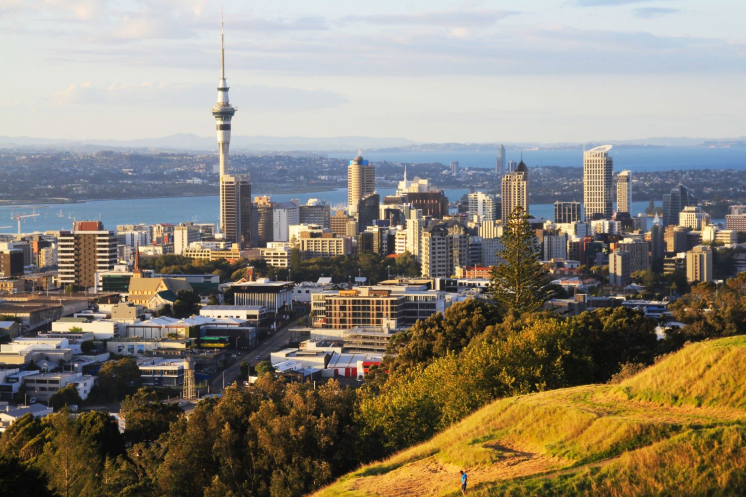 New Zealand Parliament Passes CoFI Bill