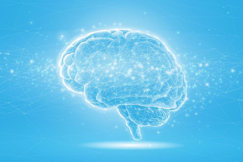 The Missing Discipline in AI