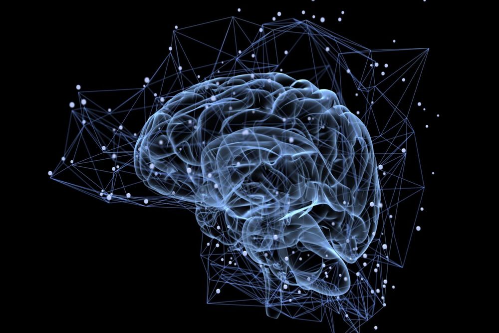 2021 INTRODUCTION | Behavioral Science