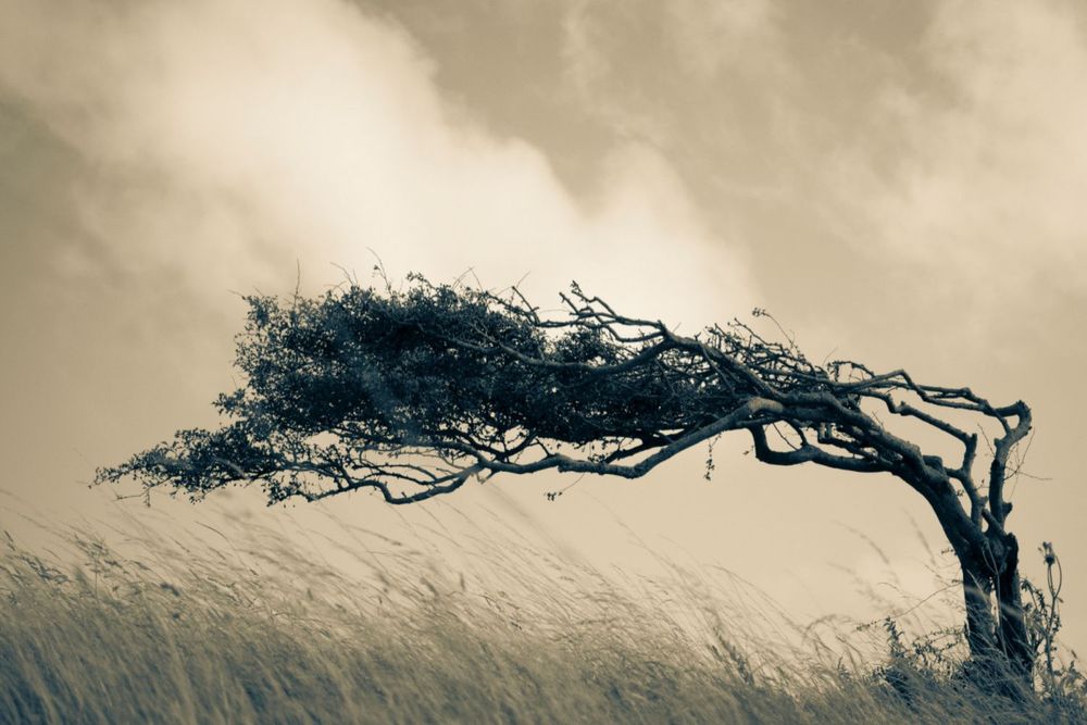 For a sustainable business, build a resilient culture
