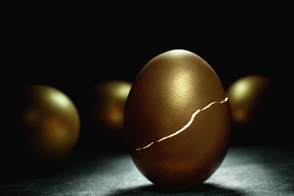 The Complexity of Regulation: The Eggshell Paradox 