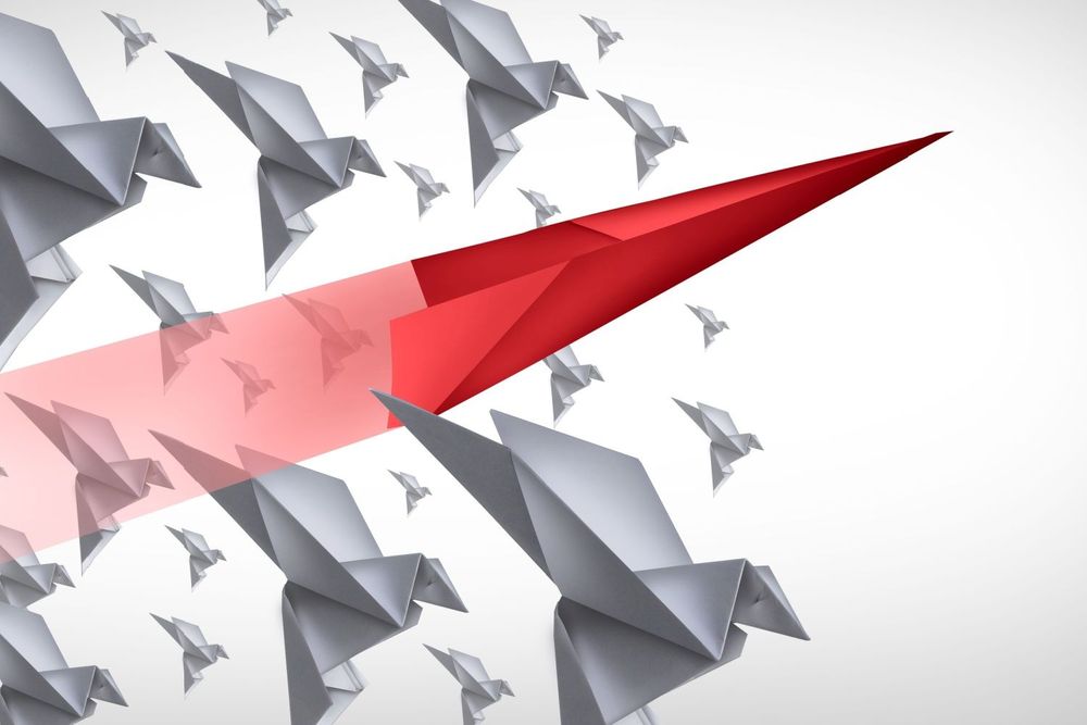 How Disruption and Innovation Drive Economic Dynamism