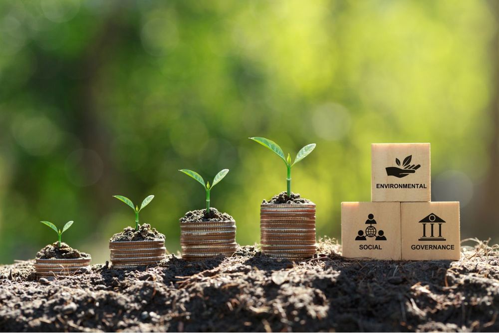 Kathy Matsui Starts ESG Venture Capital Fund