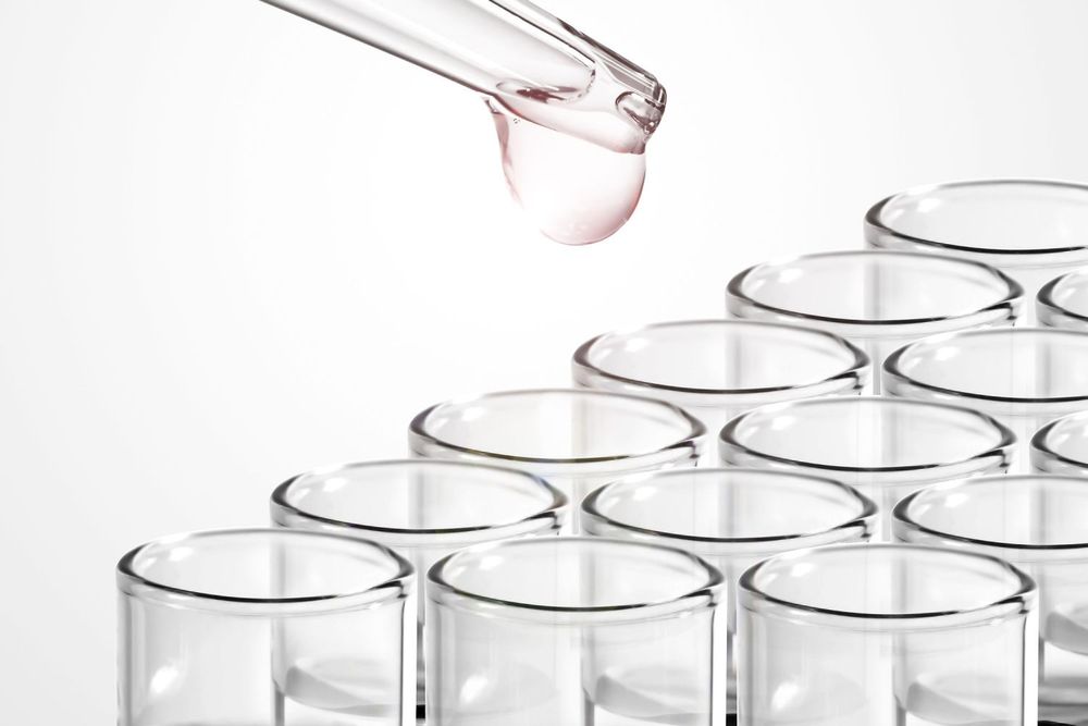 2023 COMMENTS, CONTRIBUTIONS & CONCLUSIONS | Tribulations, and trials