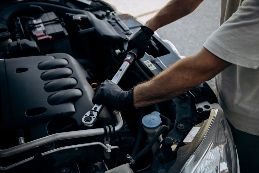 Performing Maintenance on the Regulatory System