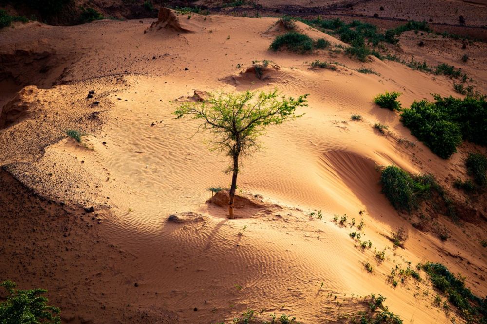 From Risk Management to Strategic Resilience
