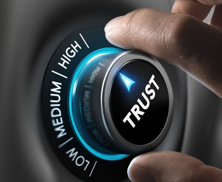 Cultures of Trustworthiness: The Role of the Regulator