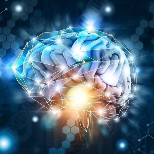 Behavioral Science Gains Traction in Bank Risk Governance